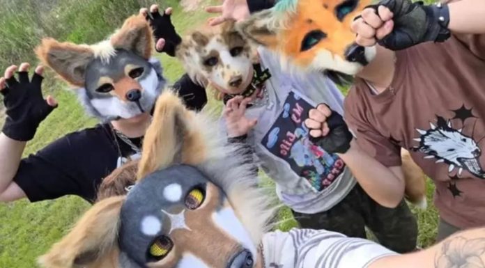 Therians: la tendencia viral en redes de personas que se identifican con animales