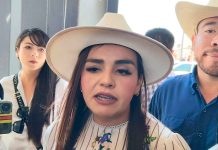 #ENTREVISTA//“Nadie va a confesar un asesinato”: Grecia Quiroz exige investigar línea política en caso Manzo