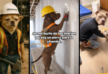 ¿Te pueden despedir del trabajo por ser Therian? Esto es lo que estipula la LFT…