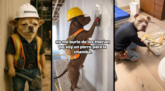 ¿Te pueden despedir del trabajo por ser Therian? Esto es lo que estipula la LFT…