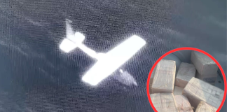 Interceptan aeronave con 534 paquetes de droga en costas de Oaxaca