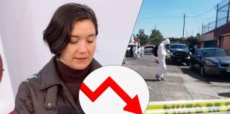 Disminuyen homicidios y delitos de alto impacto en Michoacán hasta un 30 por ciento con el Plan Michoacán