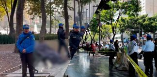 #VIDEO// Localizan sin vida a hombre en condición de calle dentro de la Alameda Central