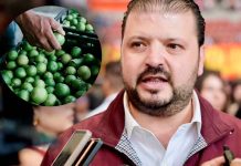 Se respetará decisión de productores de limón en designación del presidente del Tianguis Limonero: Zepeda Villaseñor