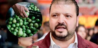 Se respetará decisión de productores de limón en designación del presidente del Tianguis Limonero: Zepeda Villaseñor