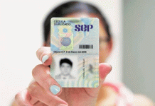 La cédula profesional ya no es identificación oficial: CURP se convierte en tu documento válido