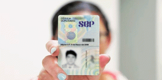 La cédula profesional ya no es identificación oficial: CURP se convierte en tu documento válido