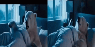 #VIDEO__Coca-Cola responde al anuncio del oso polar de Pepsi con su propio video