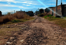 Localizan cadáver lapidado de un joven, en la colonia Los Álamos de Jacona