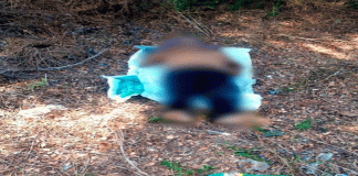 Tragedia en el Río Grande; muere hombre por ahogamiento en Buenavista Tomatlán