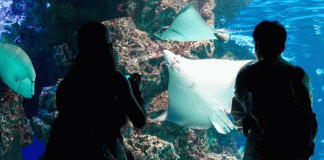 Planes románticos (y divertidos) para celebrar San Valentín en la CDMX