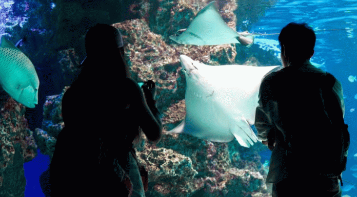 Planes románticos (y divertidos) para celebrar San Valentín en la CDMX