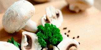 Hongos: aliados esenciales para fortalecer tu sistema inmunológico