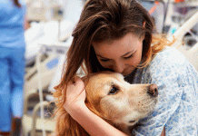 Perros de terapia combaten la soledad en hospitales psiquiátricos