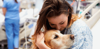 Perros de terapia combaten la soledad en hospitales psiquiátricos