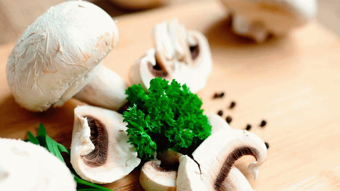 Sin-título-1-Recuperado