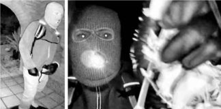 #VIDEO #Actualización FBI difunde imágenes y continúa búsqueda de Nancy Guthrie