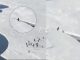#VIRAL //Pingüino reacciona a tiempo y evita caer al agua tras fractura del hielo