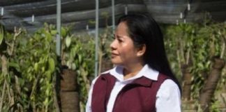 Atacan a balazos a la presidenta municipal de Ayotoxco de Guerrero