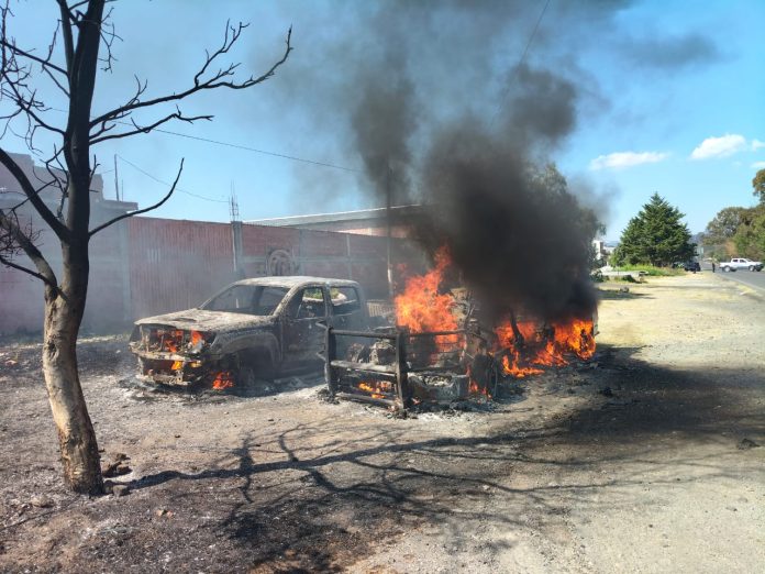 WhatsApp Image 2026-02-13 at 12.21.41 (3)