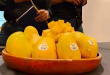 Tierra Caliente apuesta por llevar su mango al mundo