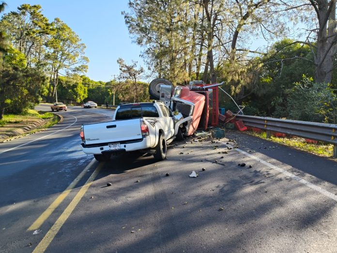 WhatsApp Image 2026-02-19 at 15.45.36