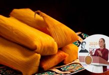 #VIDEO// Pide Claudia Sheinbaum investigar caso de tamales con fentanilo