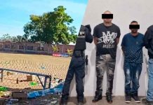 Cea presunto autor de la masacre en un campo de fútbol en Salamanca, Guanajuato