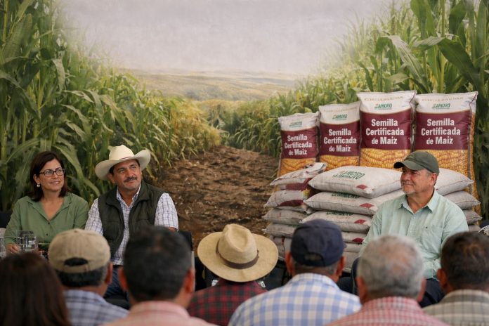 WhatsApp Image 2026-02-28 at 13.01.36