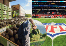 El “oro verde” de Michoacán conquista el mercado estadounidense previo al Super Bowl 2026