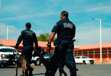 Guardia Civil cuenta con agrupamiento experto en localización de personas