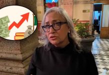 Diputada local señala que aún opiniones divididas sobre iniciativa de deuda pública