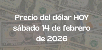 Precio del dólar hoy sábado 14 de febrero de 2026