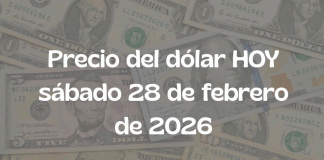 Dólar hoy 28 de febrero de 2026: peso estable frente al billete verde