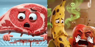 #VIDEO/ TikTok viral: alimentos con IA “te regañan” por cómo guardas tu comida