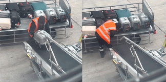 #VIDEO/ Empleado de aeropuerto enternece redes con gesto hacia gatitos viajeros