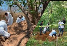 Localizan restos humanos en el Cerro de la Cruz; Fiscalía activa investigaciones en Jacona