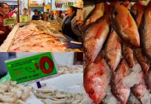 Arranca operativo sanitario por Cuaresma en Michoacán; vigilarán venta de pescados y mariscos