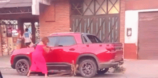 #VIDEO/ Furia en Argentina: mujer destruye la camioneta de su expareja a martillazos