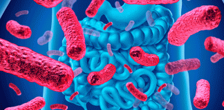 El microbioma intestinal podría reforzar la inmunidad en personas con VIH, según estudio internacional