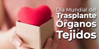 Día Mundial del Trasplante: Una oportunidad para salvar vidas