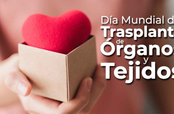 Día Mundial del Trasplante: Una oportunidad para salvar vidas