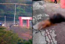 Identifican al joven ejecutado en “El Cafetal de Apatzingán