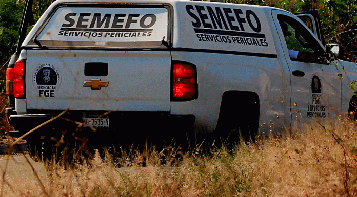 Localizan cadáver calcinado en predio de Cotija