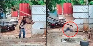 VIDEO FUERTE// Muere trabajador golpeado por viga de madera