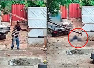 VIDEO FUERTE// Muere trabajador golpeado por viga de madera