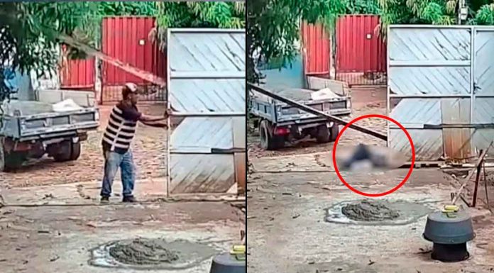 VIDEO FUERTE// Muere trabajador golpeado por viga de madera