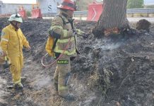 Se registran varios incendios de pastizal en distintos puntos de Morelia