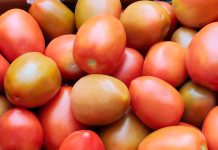 Jitomate por las nubes en Cuaresma