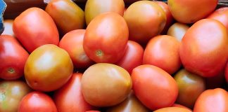 Jitomate por las nubes en Cuaresma